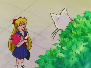 screenshot-anime-sailor-moon-s-episode-100-443.jpg