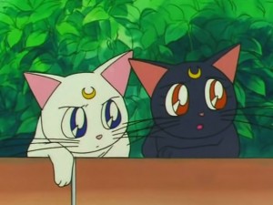 screenshot-anime-sailor-moon-s-episode-109-201.jpg