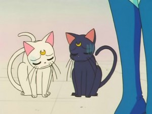 screenshot-anime-sailor-moon-s-episode-118-135.jpg