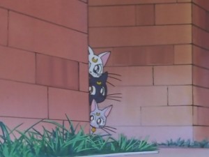 screenshot-anime-sailor-moon-super-s-episode-146-258.JPG