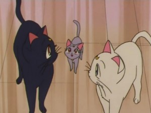 screenshot-anime-sailor-moon-super-s-episode-160-155.jpg