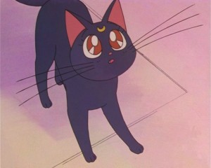 SailorMoon-s1-002(254).JPG