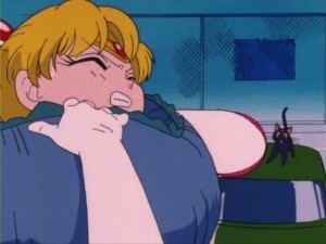SailorMoon-s1-005(419).jpg