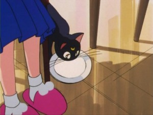 SailorMoon-s1-005(59).jpg