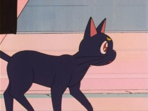 SailorMoon-s1-005(82).jpg