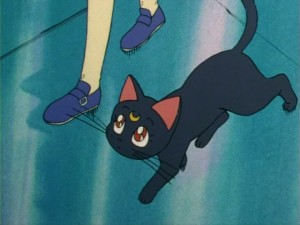 SailorMoon-s1-006(170).jpg