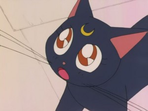 SailorMoon-s1-008(352).JPG