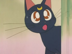 SailorMoon-s1-008(472).JPG