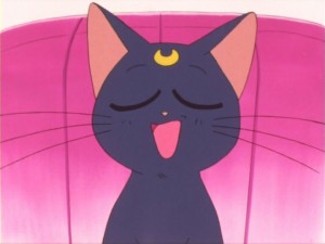 SailorMoon-s1-011(9).jpg