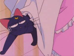 SailorMoon-s1-016(364).jpg