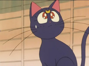 SailorMoon-s1-026(143).JPG