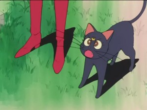 SailorMoon-s1-026(393).JPG