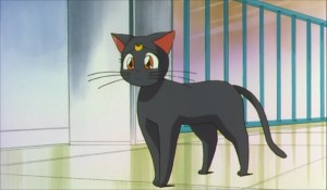 SailormoonS-movie (2051).jpg
