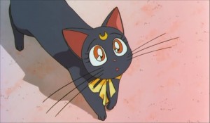 SailormoonS-movie (990).jpg