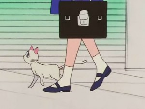 screenshot-anime-sailor-moon-s-episode-100-104.jpg
