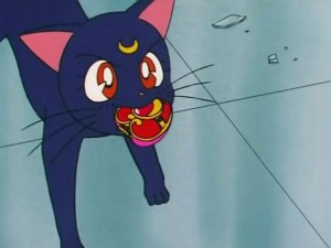 screenshot-anime-sailor-moon-s-episode-102-263.jpg