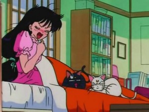 screenshot-anime-sailor-moon-s-episode-102-485.jpg