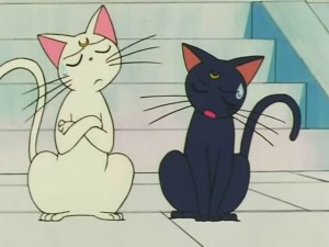 screenshot-anime-sailor-moon-s-episode-104-016.jpg
