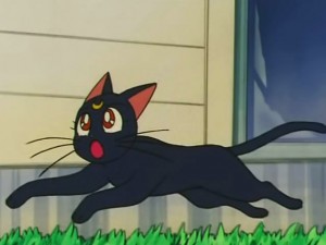screenshot-anime-sailor-moon-s-episode-107-153.jpg