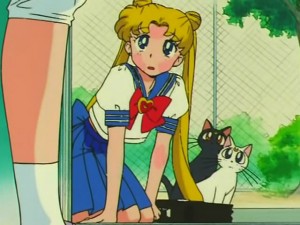 screenshot-anime-sailor-moon-s-episode-109-101.jpg