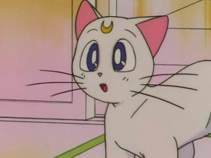 screenshot-anime-sailor-moon-s-episode-114-093.jpg