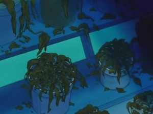 screenshot-anime-sailor-moon-s-episode-121-132.jpg