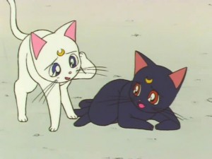 screenshot-anime-sailor-moon-super-s-episode-133-467.jpg