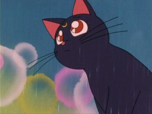 SailorMoon-s1-006(215).jpg