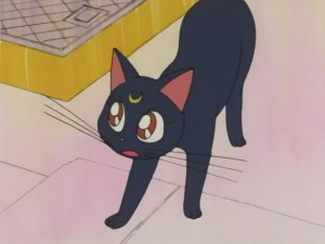 SailorMoon-s1-008(350).JPG