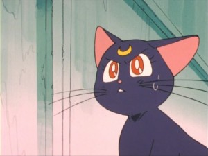 SailorMoon-s1-011(340).jpg