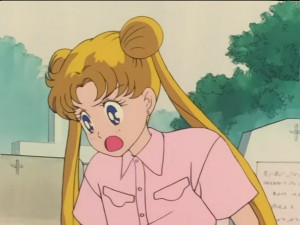 SailorMoon-s1-026(252).JPG