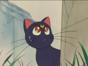 SailorMoon-s1-026(267).JPG
