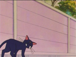 SailorMoon-s1-037(483).jpg