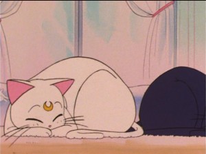 SailorMoon-s1-038(88).JPG