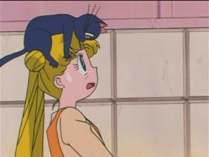 screenshot-anime-sailor-moon-s-episode-090-327.JPG