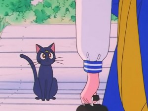 screenshot-anime-sailor-moon-s-episode-093-115.jpg