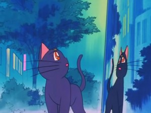 screenshot-anime-sailor-moon-s-episode-097-220.jpg