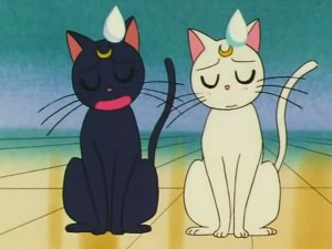 screenshot-anime-sailor-moon-s-episode-105-250.jpg