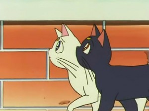screenshot-anime-sailor-moon-s-episode-109-130.jpg