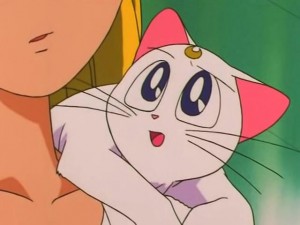 screenshot-anime-sailor-moon-s-episode-114-221.jpg