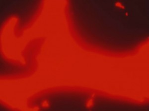 screenshot-anime-sailor-moon-s-episode-119-032.jpg