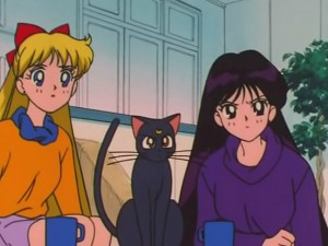 screenshot-anime-sailor-moon-s-episode-120-048.jpg