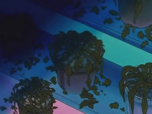 screenshot-anime-sailor-moon-s-episode-121-130.jpg