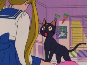 SailorMoon-s1-005(348).jpg
