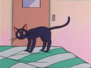 SailorMoon-s1-005(38).jpg