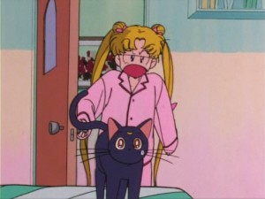 SailorMoon-s1-005(43).jpg
