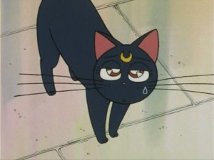 SailorMoon-s1-006(237).jpg