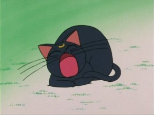 SailorMoon-s1-006(42).jpg