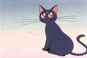 SailorMoon-s1-007(113).jpg