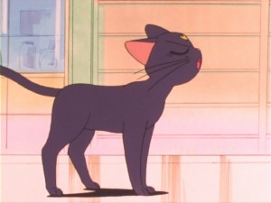 SailorMoon-s1-011(20).jpg